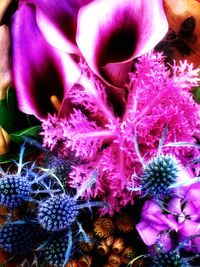 Close-up of purple flowers