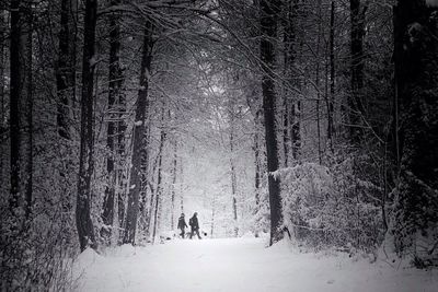 People walking on road