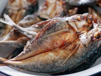 Close-up of seafood in plate