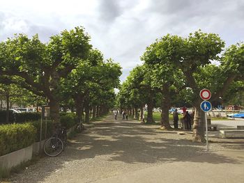 Empty road with trees in background