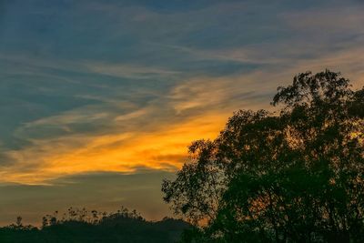 Low angle view of silhouette trees against sky at sunset