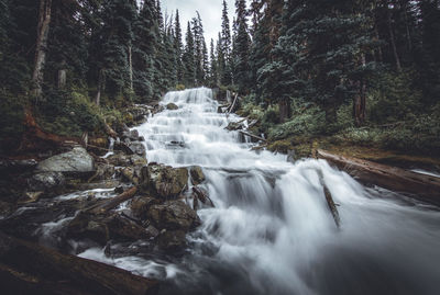 Waterfall in forest