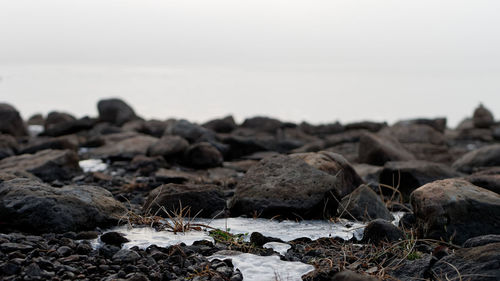 Close-up of rocks on beach against clear sky