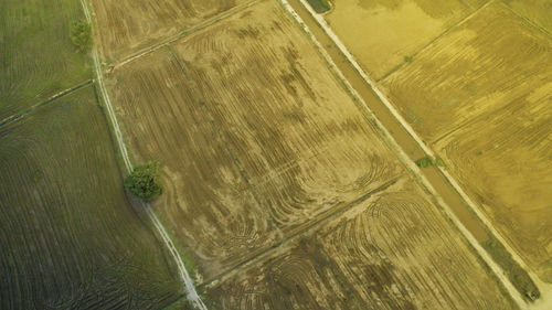 High angle view of agricultural landscape