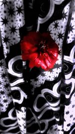 High angle view of red flowering plant