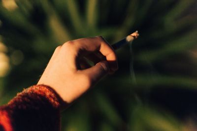 Close-up of human hand