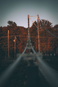 Bridge in forest against sky