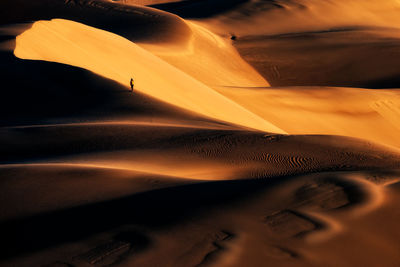 Form desert curves by playing light and shadow in the desert