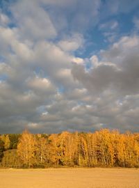 Scenic view of field against cloudy sky