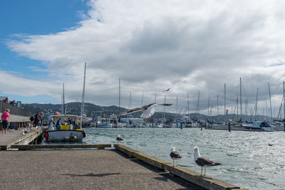 Sailboats moored on harbor in city against sky