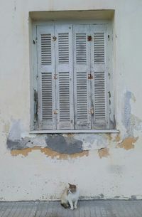 Closed door of building