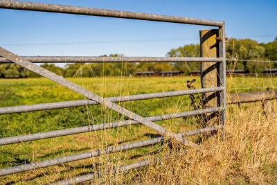 Fence on field against sky