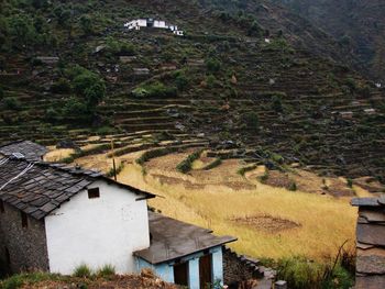 High angle view of houses and trees in village