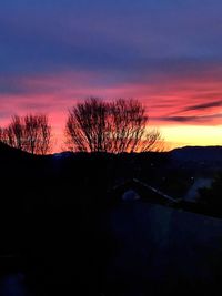 Silhouette of trees at sunset