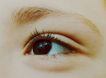 Close-up portrait of human eye