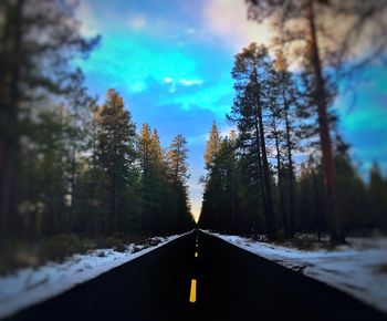 Road amidst trees against sky during winter