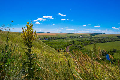 Scenic view of field against cloudy sky