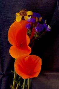 Close-up of purple flower vase