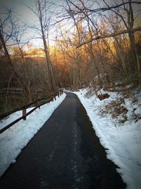 Road passing through bare trees