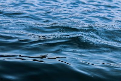 Full frame shot of swimming in sea