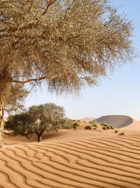 Scenic view of desert against sky