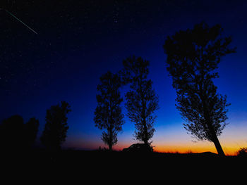 Silhouette trees against sky at night