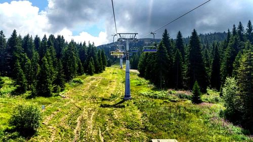 Overhead cable car in forest against sky