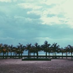 Palm trees against cloudy sky