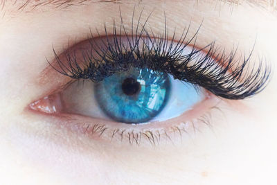 Extreme close-up of human eye