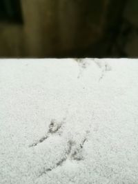 Close-up of snow on sand