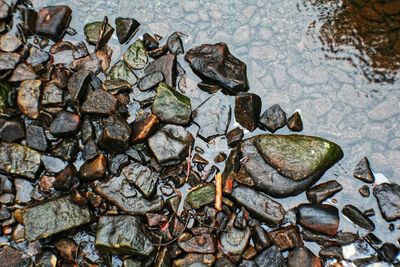 Close-up of pebbles in water