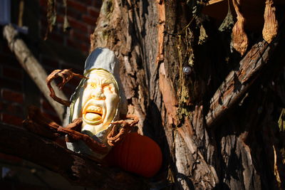 Close-up of statue against tree trunk