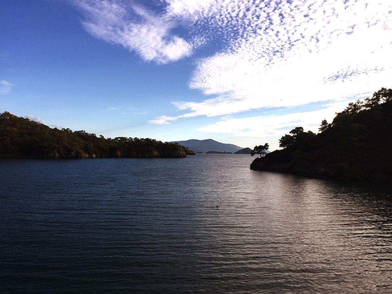 tree, water, beauty in nature, tranquility, tranquil scene, scenics, nature, idyllic, no people, day, sky, lake, outdoors