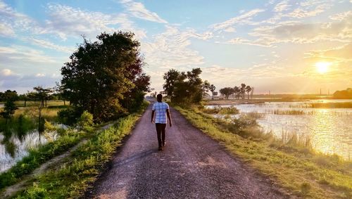 Plants on the roadside under the sky and the young man walking on that road