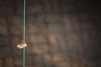 Close-up of rope against wall