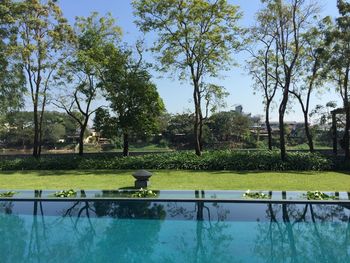 Swimming pool by trees against sky