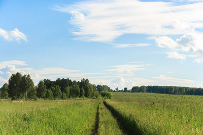 Country road in the field against sky