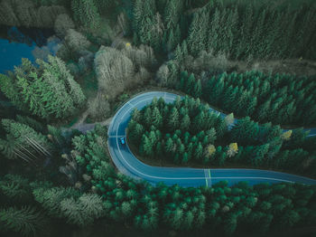 High angle view of road amidst trees