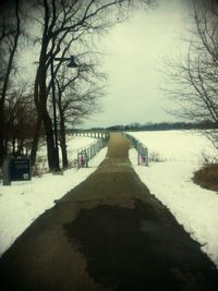 Snow covered landscape