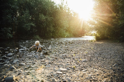 Carefree boy playing with pebbles while crouching by river