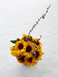 Close-up of yellow flower against sky