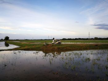 Scenic view of field against sky