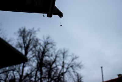 Low angle view of silhouette bird flying against sky