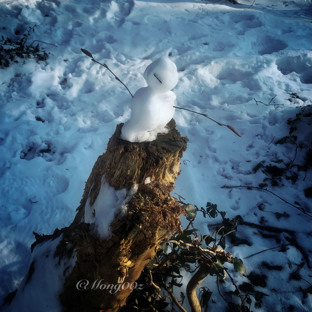 snow, cold temperature, winter, ice, nature, water, reflection, no people, beauty in nature, frozen, high angle view, environment, day, outdoors, landscape, land, scenics - nature, tranquility, white, freezing