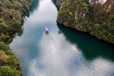 High angle view of river amidst trees