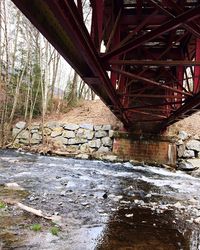 Low angle view of bridge over river in forest