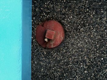 Close-up high angle view of leaf