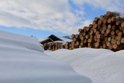 Stack of logs on snow against sky