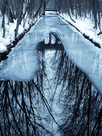 Reflection of bare trees on snow covered landscape