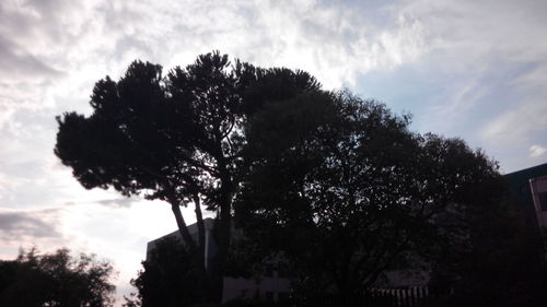 Low angle view of trees against cloudy sky